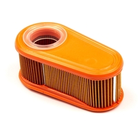 Briggs & Stratton # 795066 Air Filter