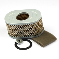 Briggs & Stratton # 797033 Air Ca Filter