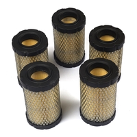 Briggs & Stratton # 4243 Filter (5 X 594201)